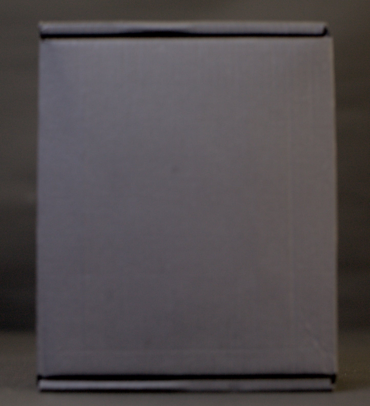 JPTR FX Warlow (hand-built /boutique /grunge /Big Muff /Fuzz / Rat Filter pedal)