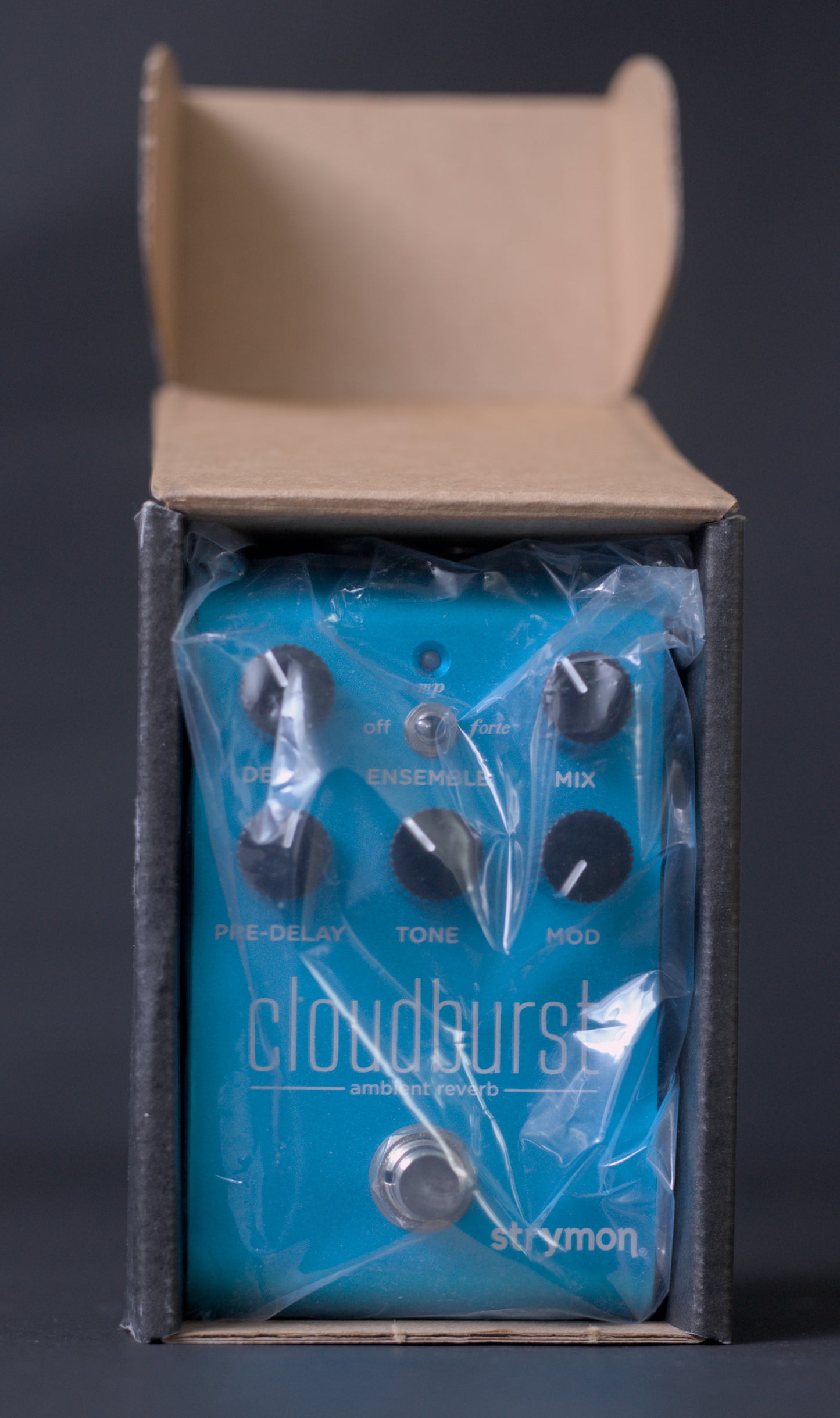Strymon Cloudburst Ambient Reverb (Made in USA)