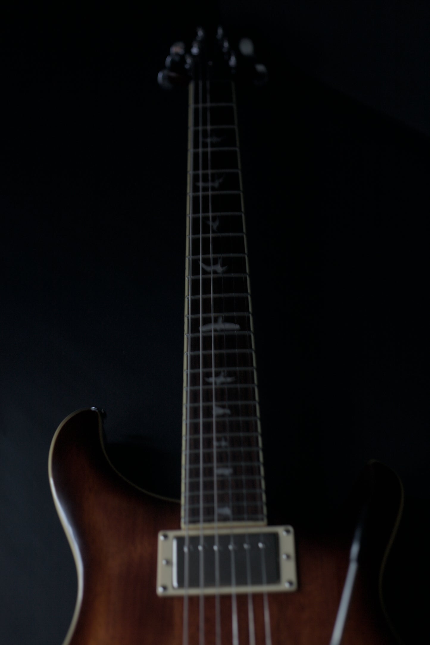 PRS SE Standard 24. Tobacco Sunburst, Modified