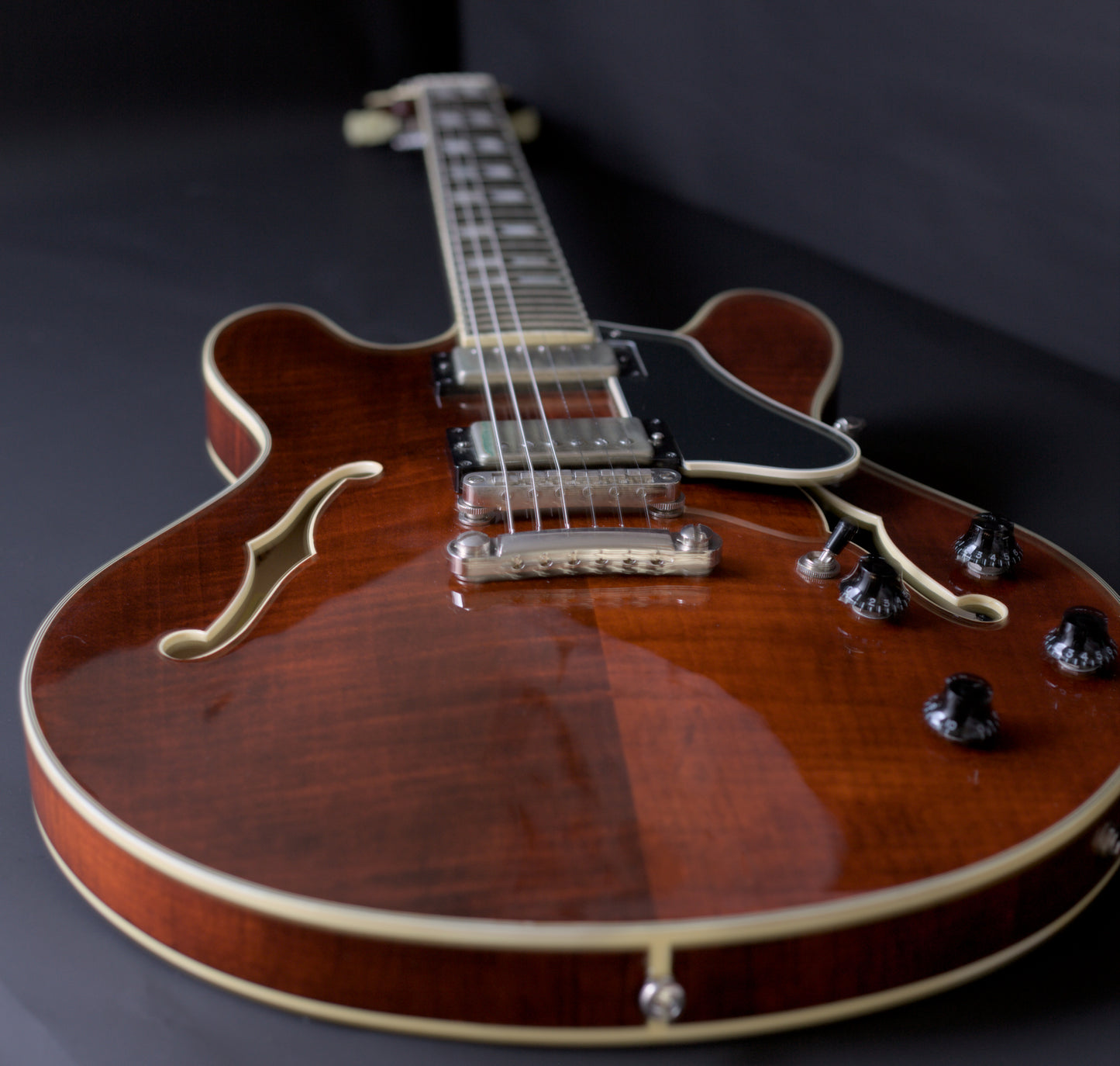 Eastman T486 Thinline - upgraded to T59v specs (Seymour Duncan Antiquity pickups)