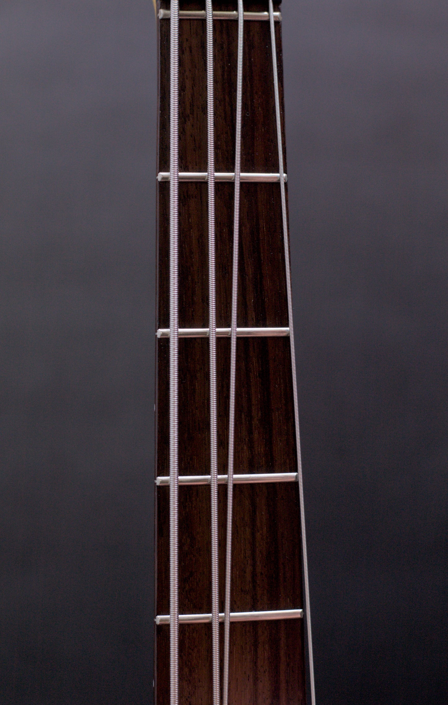 Sandberg Electra II V24 Black Bass