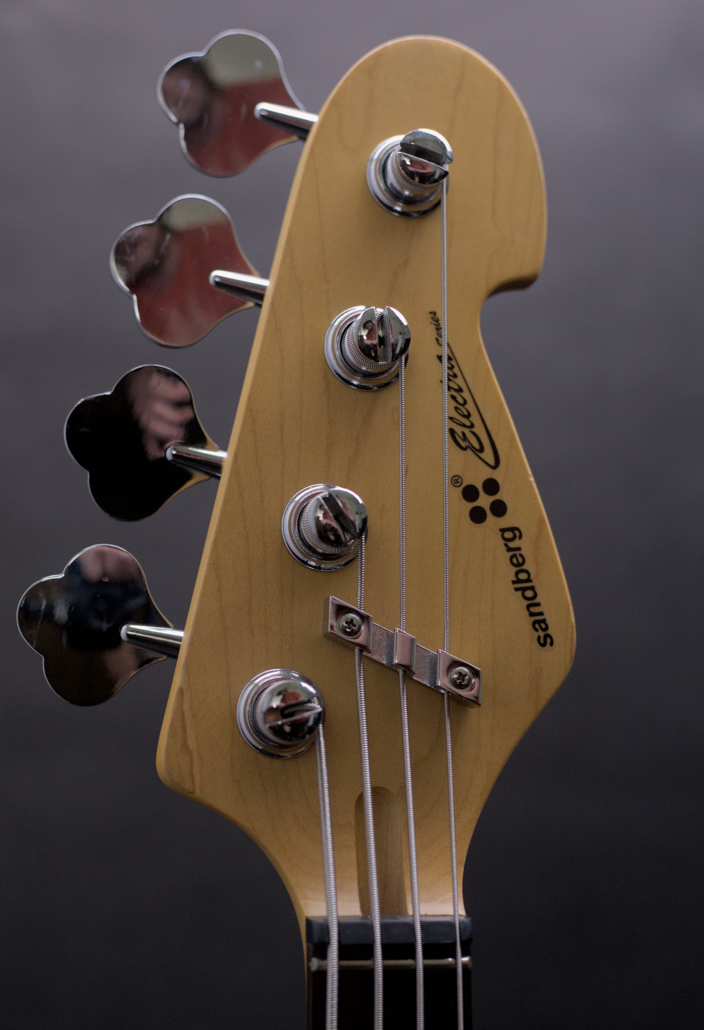 Sandberg Electra II V24 Black Bass