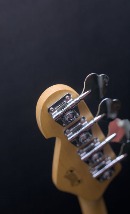 Sandberg Electra II V24 Black Bass