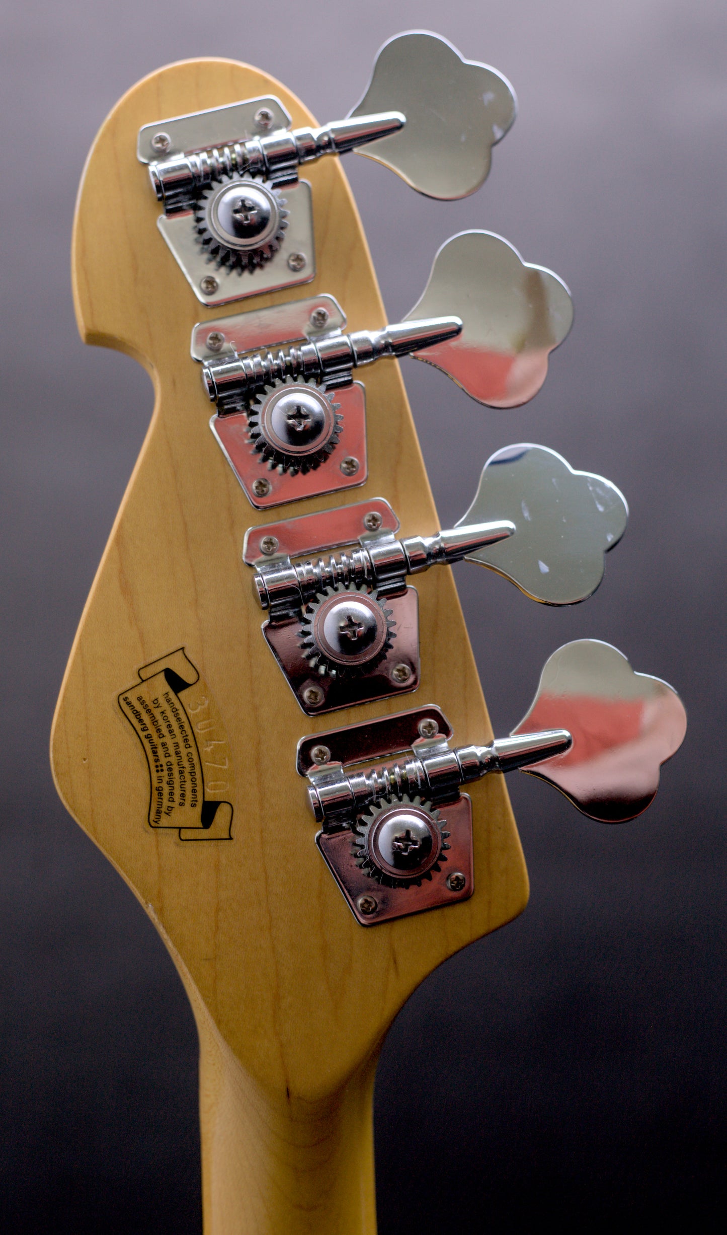 Sandberg Electra II V24 Black Bass